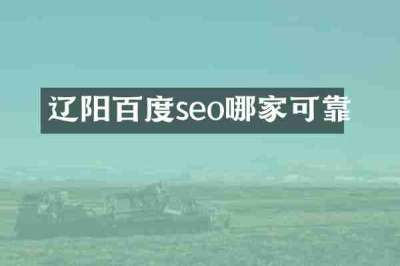 辽阳百度seo哪家可靠
