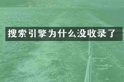 搜索引擎为什么没收录了
