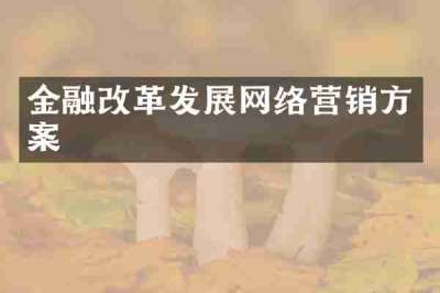 金融改革发展网络营销方案