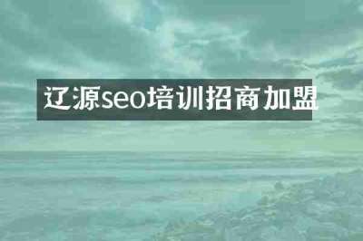 辽源seo培训招商加盟