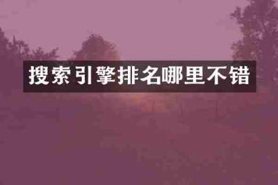 搜索引擎排名哪里不错