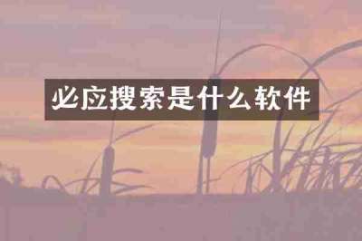 必应搜索是什么软件