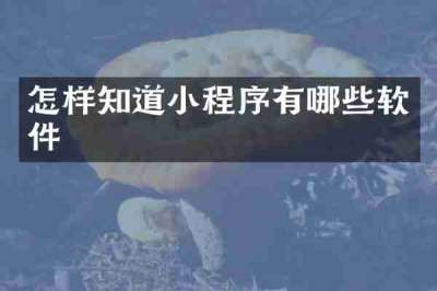 怎样知道小程序有哪些软件
