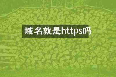 域名就是https吗