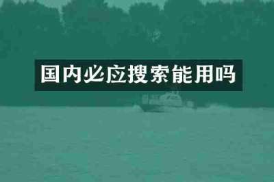 国内必应搜索能用吗