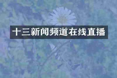十三新闻频道在线直播