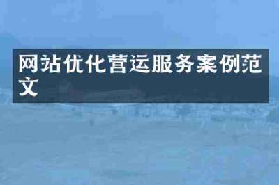网站优化营运服务案例范文