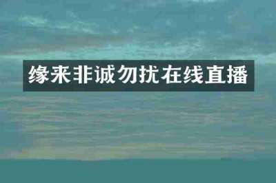 缘来非诚勿扰在线直播