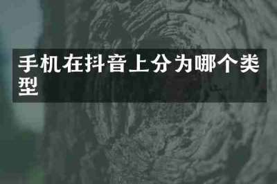 手机在抖音上分为哪个类型