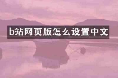 b站网页版怎么设置中文