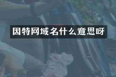 因特网域名什么意思呀