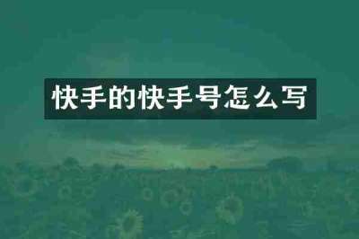 快手的快手号怎么写