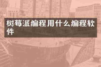 树莓派编程用什么编程软件