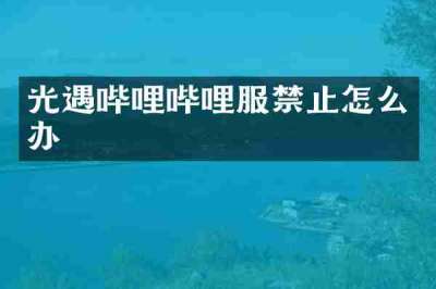 光遇哔哩哔哩服禁止怎么办