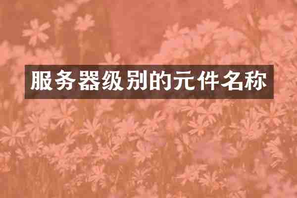 服务器级别的元件名称