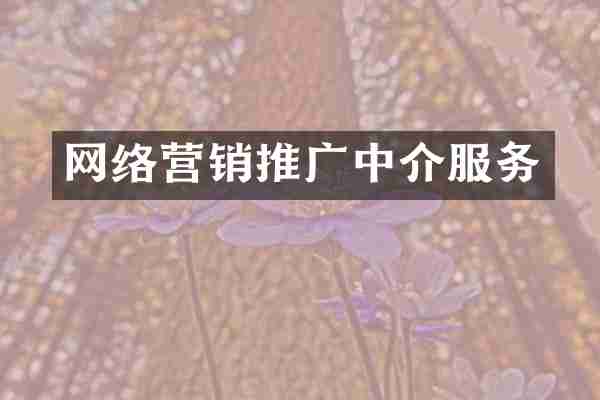 网络营销推广中介服务