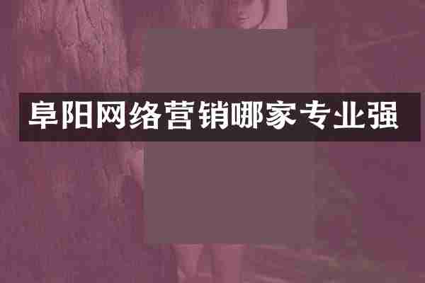 阜阳网络营销哪家专业强