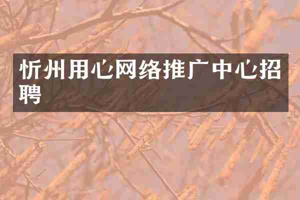 忻州用心网络推广中心招聘