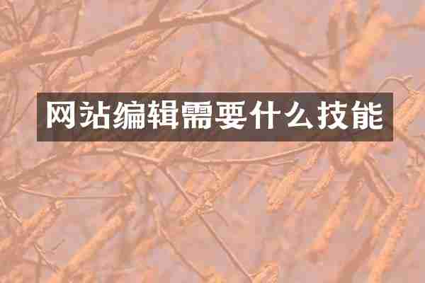 网站编辑需要什么技能