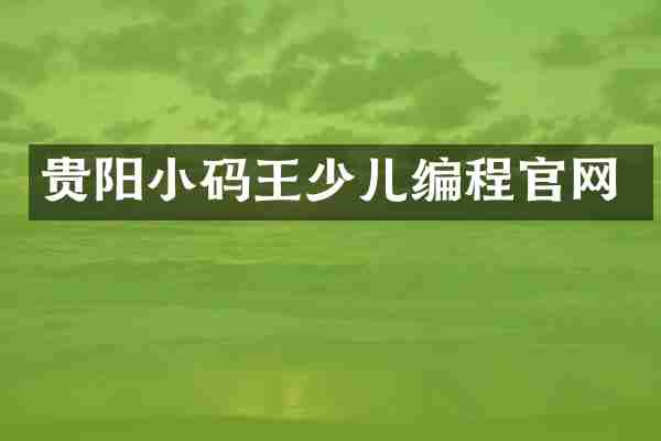 贵阳小码王少儿编程官网