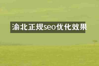 渝北正规seo优化效果