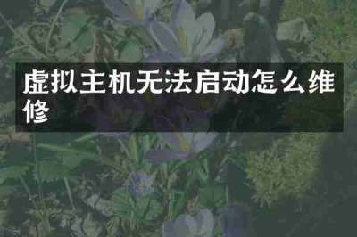 虚拟主机无法启动怎么维修