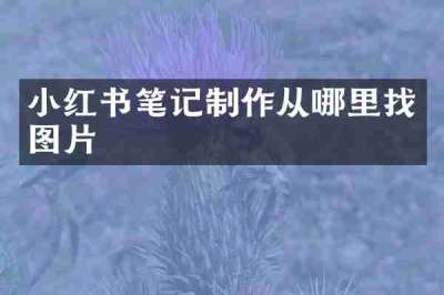 小红书笔记制作从哪里找图片