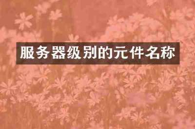 服务器级别的元件名称