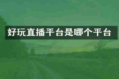 好玩直播平台是哪个平台