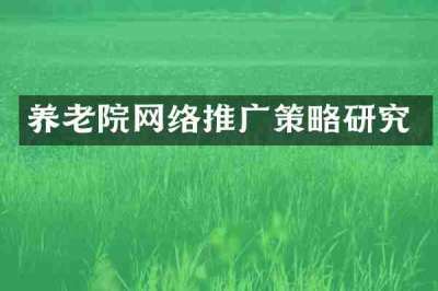 养老院网络推广策略研究