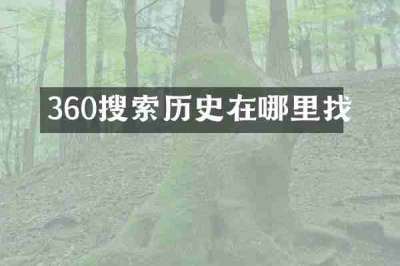 360搜索历史在哪里找