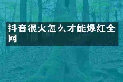抖音很火怎么才能爆红全网