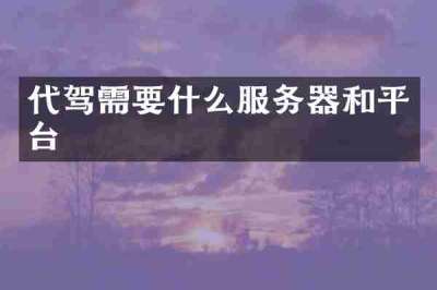 代驾需要什么服务器和平台
