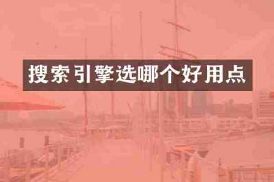搜索引擎选哪个好用点