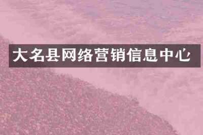 大名县网络营销信息中心