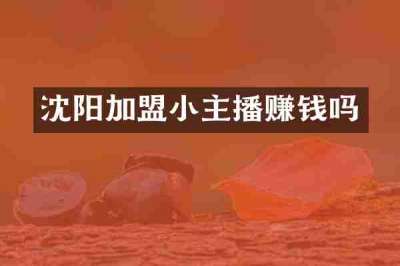 沈阳加盟小主播赚钱吗