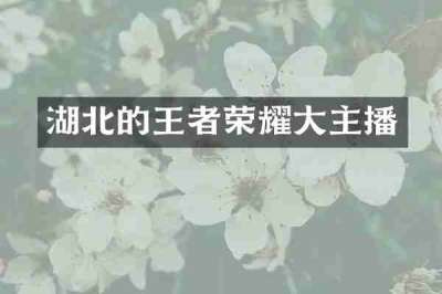 湖北的王者荣耀大主播