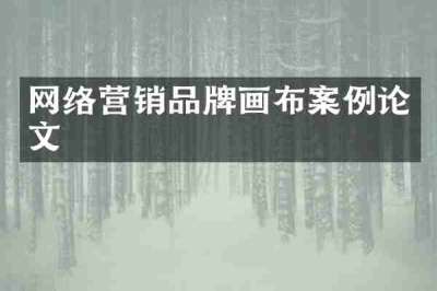 网络营销品牌画布案例论文