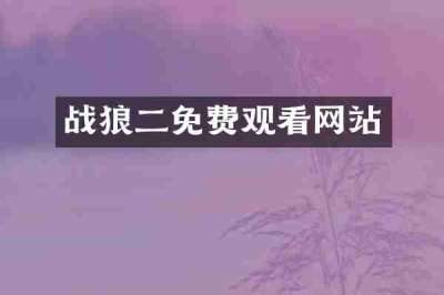 战狼二免费观看网站