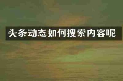 头条动态如何搜索内容呢