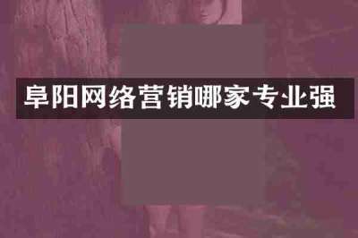 阜阳网络营销哪家专业强