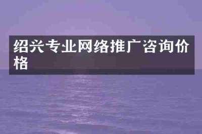 绍兴专业网络推广咨询价格