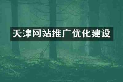 天津网站推广优化建设