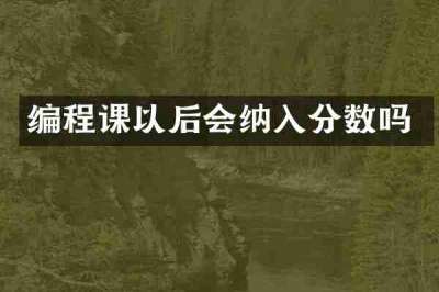 编程课以后会纳入分数吗