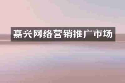 嘉兴网络营销推广市场