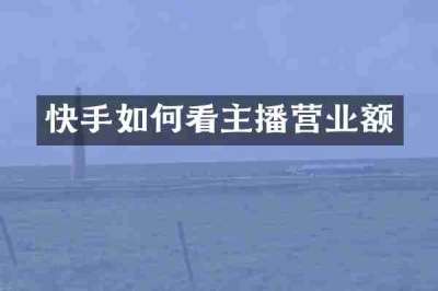 快手如何看主播营业额