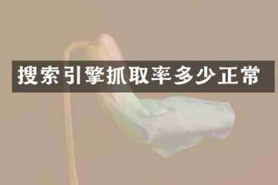 搜索引擎抓取率多少正常