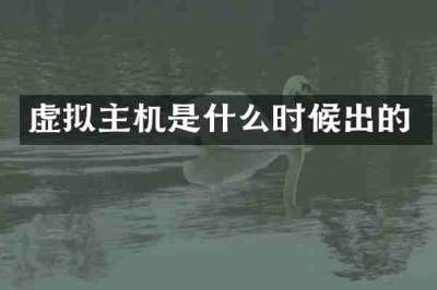 虚拟主机是什么时候出的