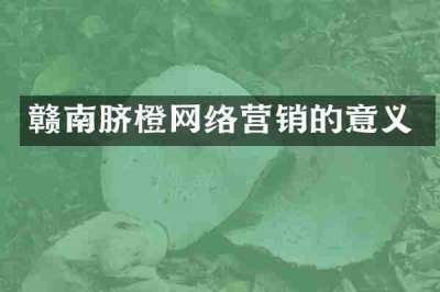 赣南脐橙网络营销的意义