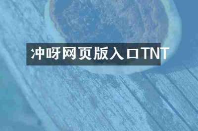 冲呀网页版入口TNT